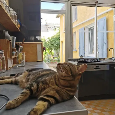 Homestay Confortable
