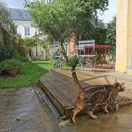 Homestay Confortable