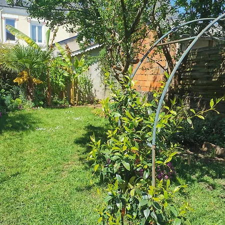 Confortable * Le Mans