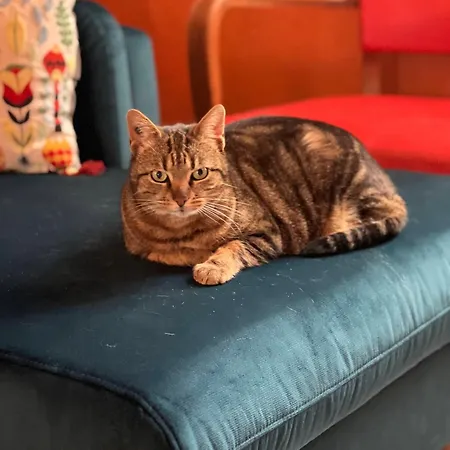 Confortable Kwatera prywatna *