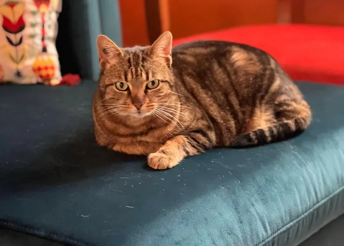 Confortable Privatunterkunft *